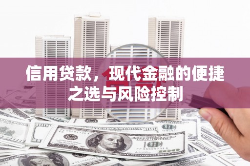 鹤庆信用贷款，现代金融的便捷之选与风险控制