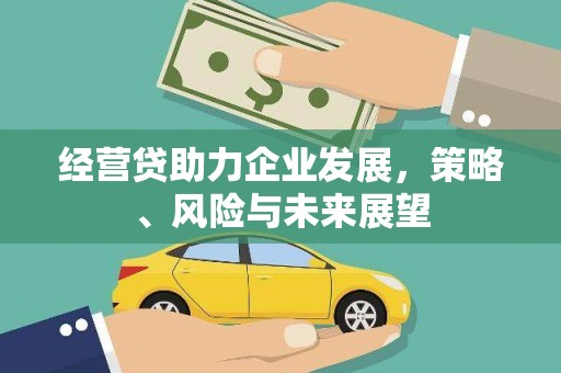 鹤庆经营贷助力企业发展，策略、风险与未来展望