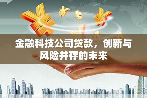 鹤庆金融科技公司贷款，创新与风险并存的未来