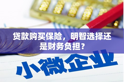 鹤庆贷款购买保险，明智选择还是财务负担？