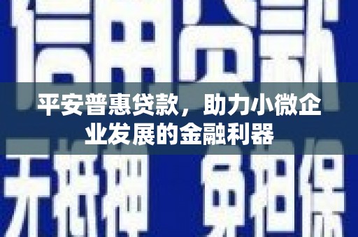 鹤庆平安普惠贷款，助力小微企业发展的金融利器