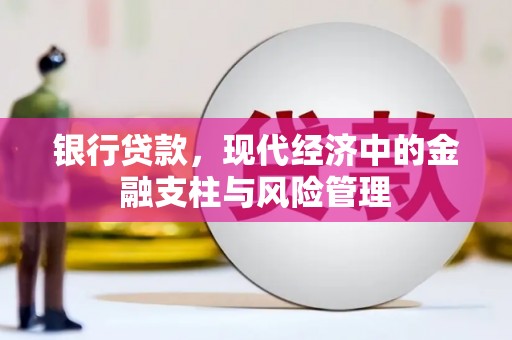鹤庆银行贷款，现代经济中的金融支柱与风险管理
