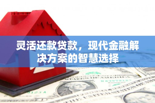 鹤庆灵活还款贷款，现代金融解决方案的智慧选择