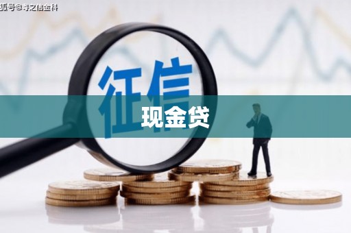 鹤庆现金贷
