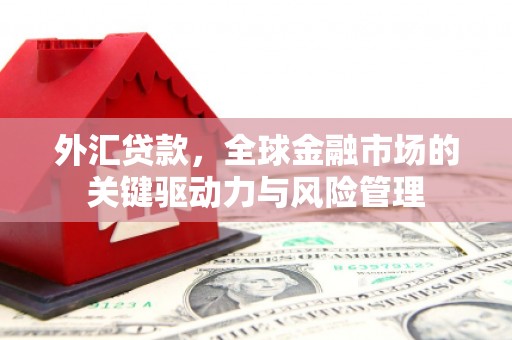 鹤庆外汇贷款，全球金融市场的关键驱动力与风险管理
