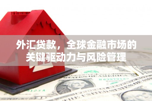 鹤庆外汇贷款，全球金融市场的关键驱动力与风险管理