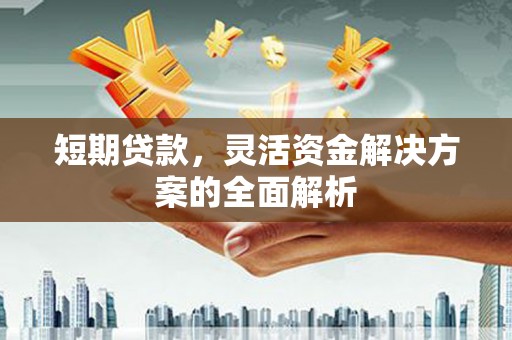 鹤庆短期贷款，灵活资金解决方案的全面解析