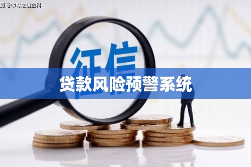 鹤庆贷款风险预警系统