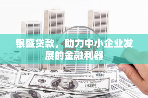 鹤庆银盛贷款，助力中小企业发展的金融利器