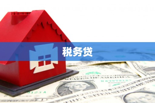 鹤庆税务贷