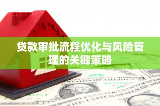 鹤庆贷款审批流程优化与风险管理的关键策略