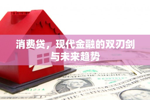 鹤庆消费贷，现代金融的双刃剑与未来趋势