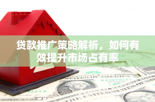 鹤庆贷款推广策略解析，如何有效提升市场占有率
