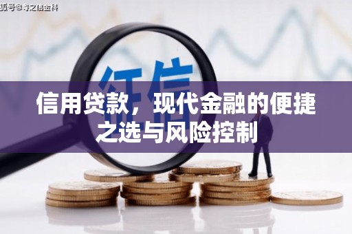 鹤庆信用贷款，现代金融的便捷之选与风险控制
