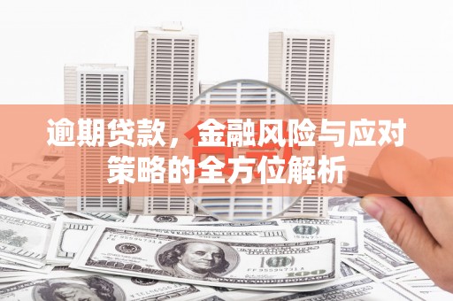 鹤庆逾期贷款，金融风险与应对策略的全方位解析
