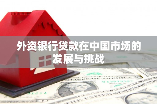 鹤庆外资银行贷款在中国市场的发展与挑战