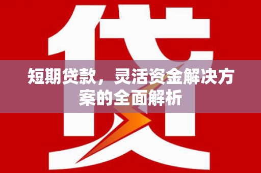 鹤庆短期贷款，灵活资金解决方案的全面解析