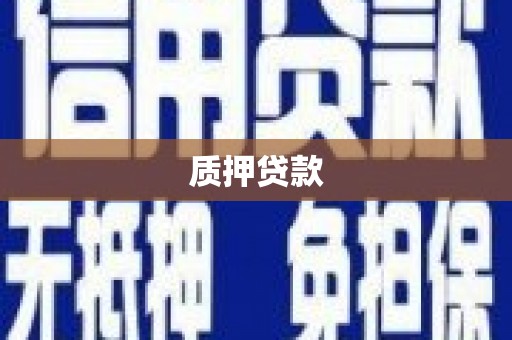 鹤庆质押贷款