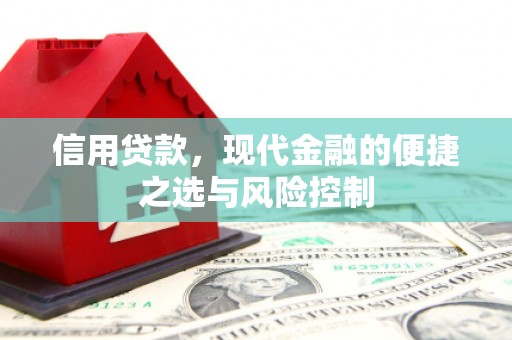 鹤庆信用贷款，现代金融的便捷之选与风险控制