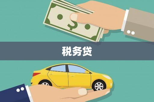 鹤庆税务贷