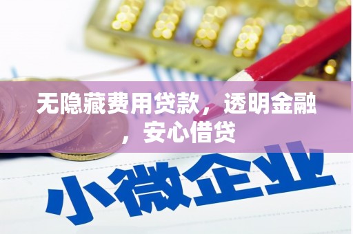 鹤庆无隐藏费用贷款，透明金融，安心借贷