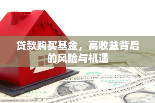 鹤庆贷款购买基金，高收益背后的风险与机遇