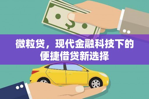 鹤庆微粒贷，现代金融科技下的便捷借贷新选择