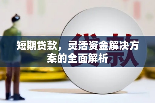 鹤庆短期贷款，灵活资金解决方案的全面解析
