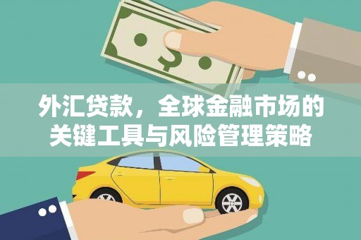鹤庆外汇贷款，全球金融市场的关键工具与风险管理策略