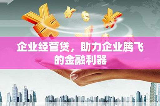 鹤庆企业经营贷，助力企业腾飞的金融利器