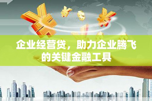 鹤庆企业经营贷，助力企业腾飞的关键金融工具