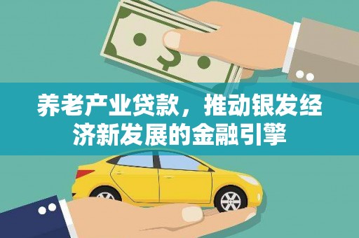 鹤庆养老产业贷款，推动银发经济新发展的金融引擎