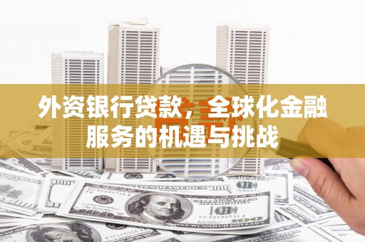 鹤庆外资银行贷款，全球化金融服务的机遇与挑战