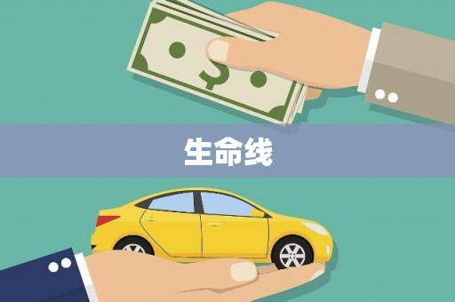 鹤庆生命线