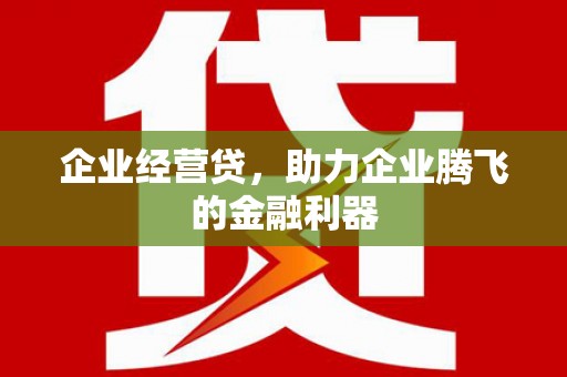 鹤庆企业经营贷，助力企业腾飞的金融利器