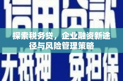 鹤庆探索税务贷，企业融资新途径与风险管理策略