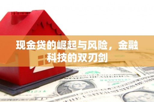 鹤庆现金贷的崛起与风险，金融科技的双刃剑