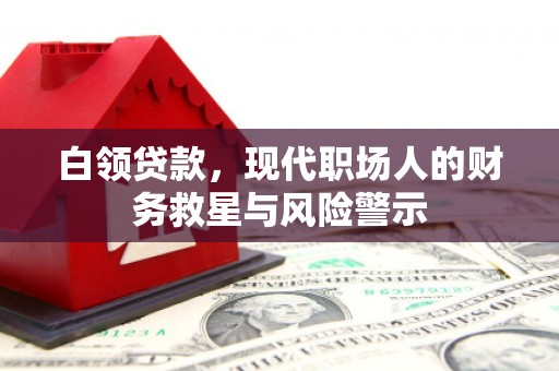 鹤庆白领贷款，现代职场人的财务救星与风险警示