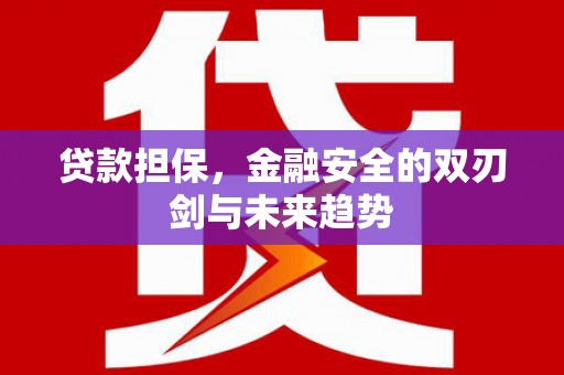 鹤庆贷款担保，金融安全的双刃剑与未来趋势