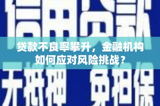 鹤庆贷款不良率攀升，金融机构如何应对风险挑战？
