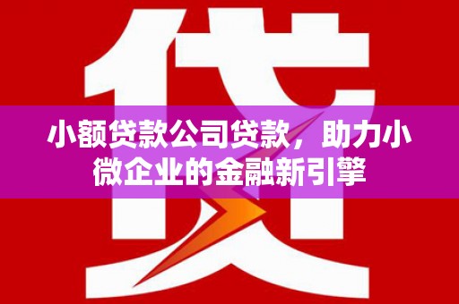 鹤庆小额贷款公司贷款，助力小微企业的金融新引擎
