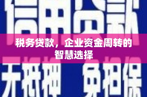 鹤庆税务贷款，企业资金周转的智慧选择