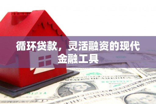 鹤庆循环贷款，灵活融资的现代金融工具
