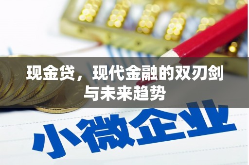 鹤庆现金贷，现代金融的双刃剑与未来趋势