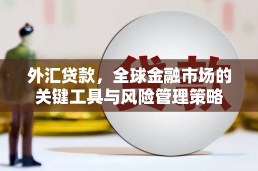 鹤庆外汇贷款，全球金融市场的关键工具与风险管理策略
