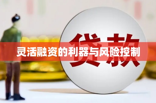 鹤庆灵活融资的利器与风险控制