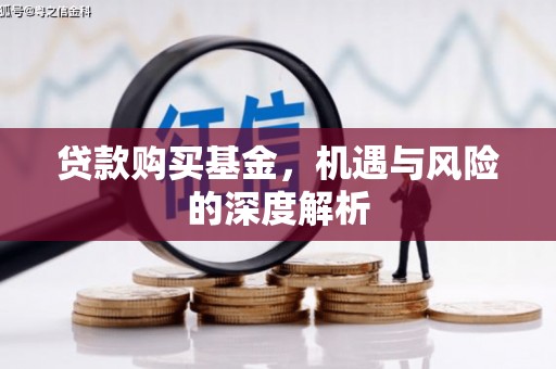 鹤庆贷款购买基金，机遇与风险的深度解析