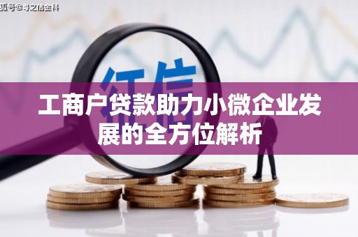 鹤庆工商户贷款助力小微企业发展的全方位解析