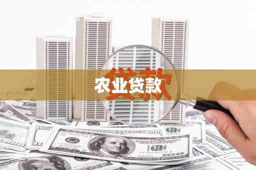 鹤庆农业贷款