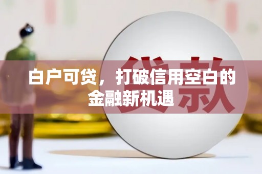 鹤庆白户可贷，打破信用空白的金融新机遇